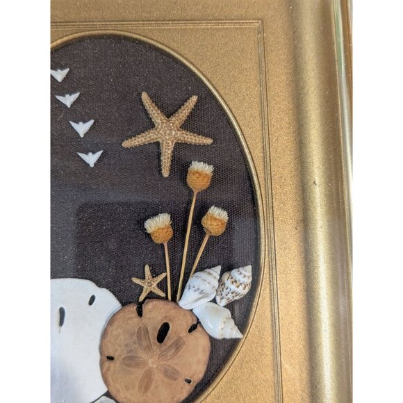 Sand Dollar Nautical Shell Art Betty Shepard Shadow Box Frame Seahorse & Starfis - Picture 6 of 11